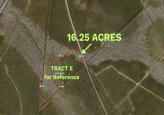 Homes for sale in Andrews, SC | Tract E Ten Acre Rd, Andrews, SC 29510 | MLS# 2616376