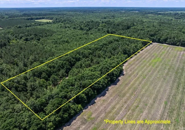 Photo 11 of Sale Pending at Tbd 53 Acres Springtown Rd, Bamberg, SC 29003 | MLS# 2616392 | Listing updated on 2026-07-23