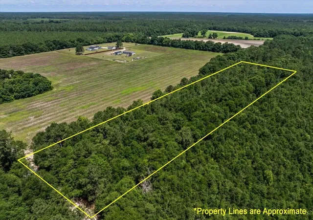 Photo 1 of Sale Pending at Tbd 53 Acres Springtown Rd, Bamberg, SC 29003 | MLS# 2616392 | Listing updated on 2026-07-23