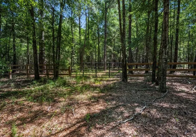 Photo 2 of Sale Pending at Tbd 53 Acres Springtown Rd, Bamberg, SC 29003 | MLS# 2616392 | Listing updated on 2026-07-23