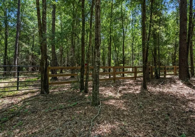 Photo 3 of Sale Pending at Tbd 53 Acres Springtown Rd, Bamberg, SC 29003 | MLS# 2616392 | Listing updated on 2026-07-23