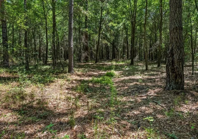 Photo 4 of Sale Pending at Tbd 53 Acres Springtown Rd, Bamberg, SC 29003 | MLS# 2616392 | Listing updated on 2026-07-23