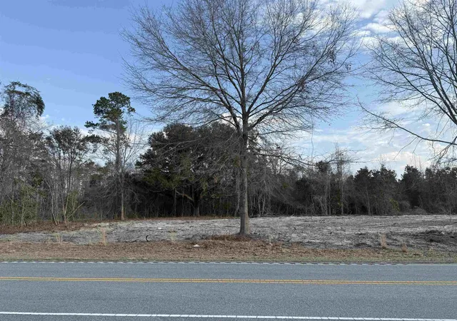 Homes for sale in Loris, SC | 10576 W Hwy 19, Loris, SC 29569 | MLS# 2616443