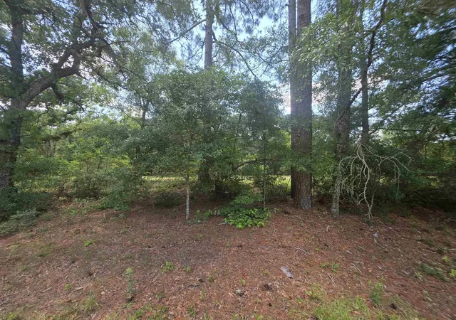 Homes for sale in Conway, SC | Tbd Hwy 701 South, Conway, SC 29527 | MLS# 2616474