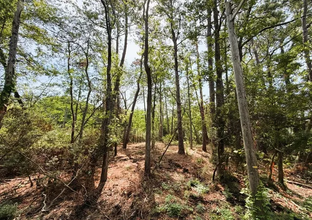 3rd image of Tbd Oak St, Georgetown, SC 29440 | MLS# 2616483