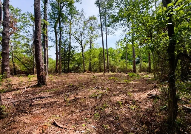 4th image of Tbd Oak St, Georgetown, SC 29440 | MLS# 2616483