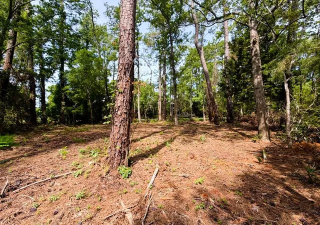 5th image of Tbd Oak St, Georgetown, SC 29440 | MLS# 2616483