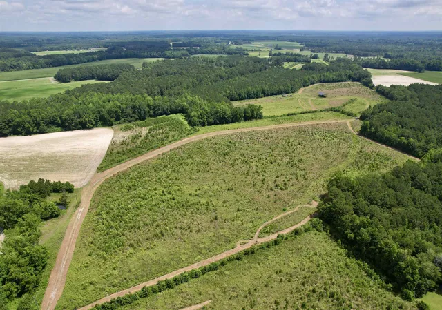 Photo 1 of Land for sale at 0 Powell Rd, Green Sea, SC 29545 | MLS# 2616548 | Listing updated on 2026-08-18