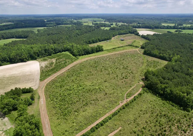Photo 2 of Land for sale at 0 Powell Rd, Green Sea, SC 29545 | MLS# 2616548 | Listing updated on 2026-08-18
