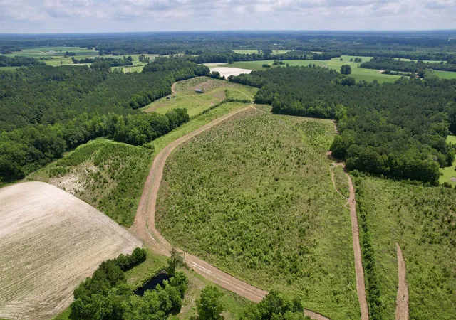 Photo 4 of Land for sale at 0 Powell Rd, Green Sea, SC 29545 | MLS# 2616548 | Listing updated on 2026-08-18