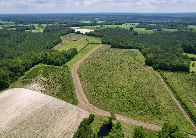 Photo 5 of Land for sale at 0 Powell Rd, Green Sea, SC 29545 | MLS# 2616548 | Listing updated on 2026-08-18
