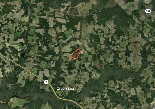 Photo 72 of Land for sale at 0 Powell Rd, Green Sea, SC 29545 | MLS# 2616548 | Listing updated on 2026-08-18