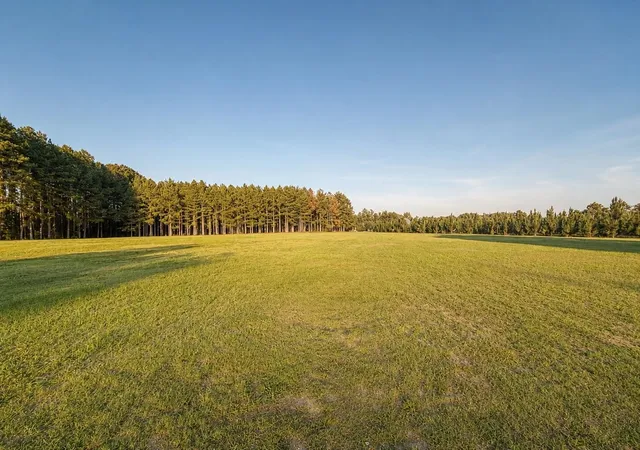 Homes for sale in Johnsonville, SC | 4275 Poston Corner Rd, Johnsonville, SC 29555 | MLS# 2616549