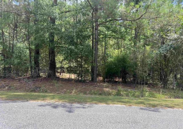 Homes for sale in Andrews, SC | Tbd Ervin Rd Ervin Rd, Andrews, SC 29510 | MLS# 2616617