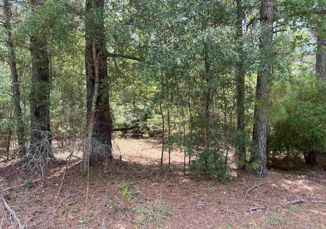 Homes for sale in Andrews, SC | Tbd Ervin Rd Ervin Rd, Andrews, SC 29510 | MLS# 2616617