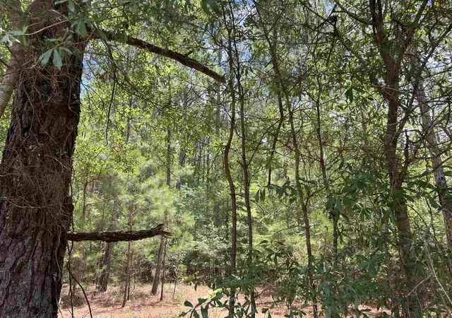 Photo 3 of Land for sale at Tbd Ervin Rd, Andrews, SC 29510 | MLS# 2616617 | Listing updated on 2026-07-01