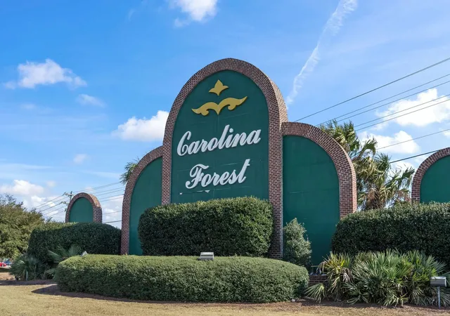 55th image of 729 Dragon Fly Dr, Myrtle Beach, SC 29579 | MLS# 2616734