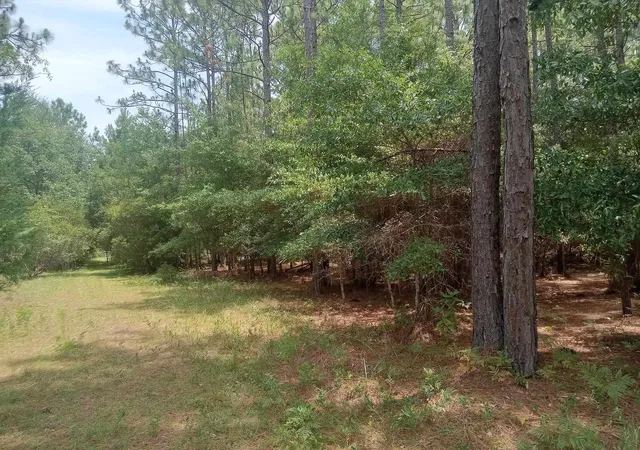 Homes for sale in Georgetown, SC | Lot 1074 Duany Dr, Georgetown, SC 29440 | MLS# 2616745