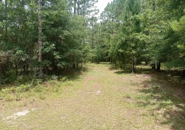 Homes for sale in Georgetown, SC | Lot 1074 Duany Dr, Georgetown, SC 29440 | MLS# 2616745