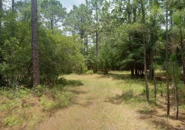 Homes for sale in Georgetown, SC | Lot 1038 Kilsock Dr, Georgetown, SC 29440 | MLS# 2616750