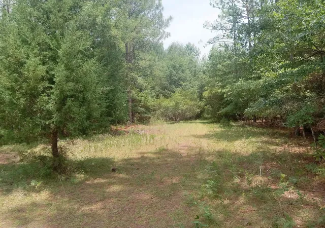 Homes for sale in Georgetown, SC | Lot 1038 Kilsock Dr, Georgetown, SC 29440 | MLS# 2616750