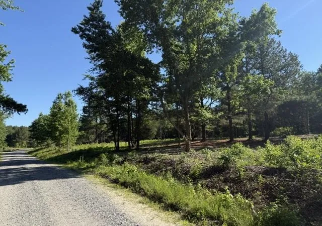 Photo 1 of Land for sale at 491 Crow Burk Rd, Pageland, SC 29728 | MLS# 2616800 | Listing updated on 2026-07-29