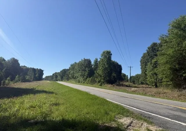 Photo 3 of Land for sale at 491 Crow Burk Rd, Pageland, SC 29728 | MLS# 2616800 | Listing updated on 2026-07-29