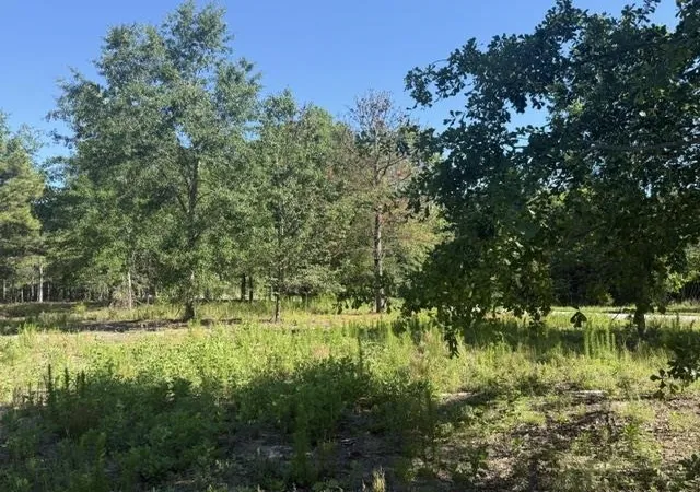 Photo 4 of Land for sale at 491 Crow Burk Rd, Pageland, SC 29728 | MLS# 2616800 | Listing updated on 2026-07-29