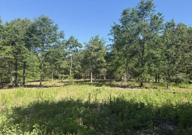 Photo 5 of Land for sale at 491 Crow Burk Rd, Pageland, SC 29728 | MLS# 2616800 | Listing updated on 2026-07-29