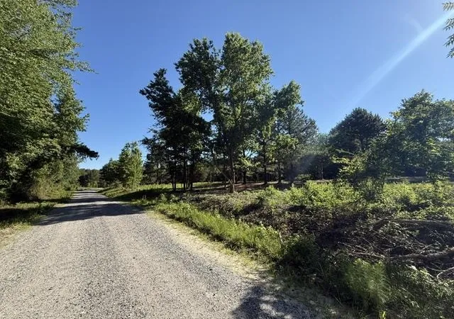 Photo 9 of Land for sale at 491 Crow Burk Rd, Pageland, SC 29728 | MLS# 2616800 | Listing updated on 2026-07-29