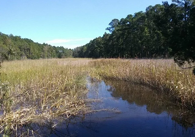 31st image of 1804 Old Town Ave, Georgetown, SC 29440 | MLS# 2616883