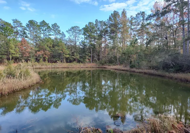 5th image of 1804 Old Town Ave, Georgetown, SC 29440 | MLS# 2616883