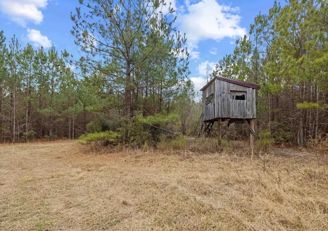 Homes for sale in Salters, SC | Tbd 183 Acres Blakely Rd, Salters, SC 29590 | MLS# 2616921