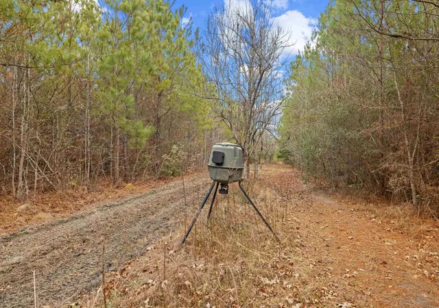Homes for sale in Salters, SC | Tbd 183 Acres Blakely Rd, Salters, SC 29590 | MLS# 2616921