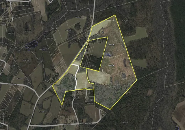 Homes for sale in Salters, SC | Tbd 183 Acres Blakely Rd, Salters, SC 29590 | MLS# 2616921