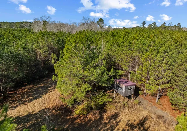 Homes for sale in Salters, SC | Tbd 183 Acres Blakely Rd, Salters, SC 29590 | MLS# 2616921