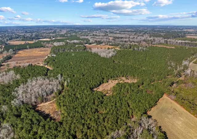 Homes for sale in Salters, SC | Tbd 183 Acres Blakely Rd, Salters, SC 29590 | MLS# 2616921