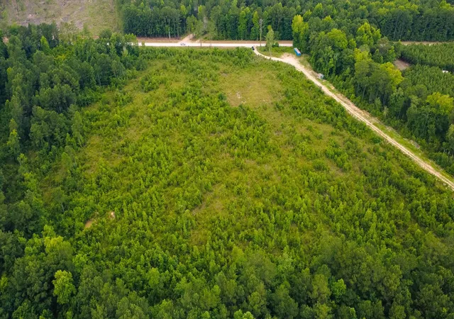 Photo 3 of Land for sale at Lot B Fries Bay Rd, Loris, SC 29569 | MLS# 2616968 | Listing updated on 2026-08-04