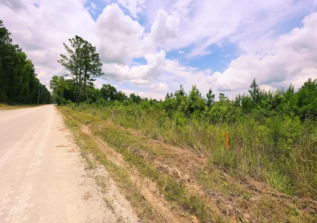 Homes for sale in Loris, SC | Lot B Fries Bay Rd, Loris, SC 29569 | MLS# 2616968