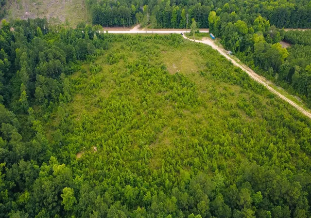 Photo 2 of Land for sale at Lot C Fries Bay Rd, Loris, SC 29569 | MLS# 2616971 | Listing updated on 2026-08-04