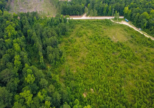 Photo 3 of Land for sale at Lot C Fries Bay Rd, Loris, SC 29569 | MLS# 2616971 | Listing updated on 2026-08-04