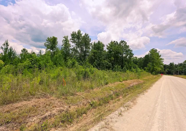 Photo 4 of Land for sale at Lot C Fries Bay Rd, Loris, SC 29569 | MLS# 2616971 | Listing updated on 2026-08-04