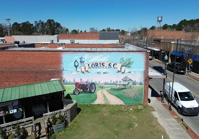 26th image of 914 Farmers Passage Loop, Loris, SC 29569 | MLS# 2616987