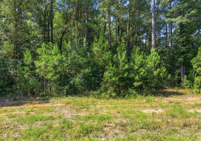 3rd image of 4107 Hwy 378, Conway, SC 29527 | MLS# 2617035