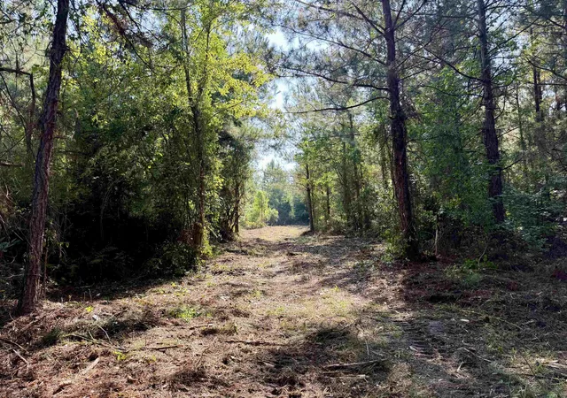 Photo 1 of Land for sale at 10149 Acres   Epps Rd, New Zion, SC 29111 | MLS# 2617077 | Listing updated on 2026-08-31