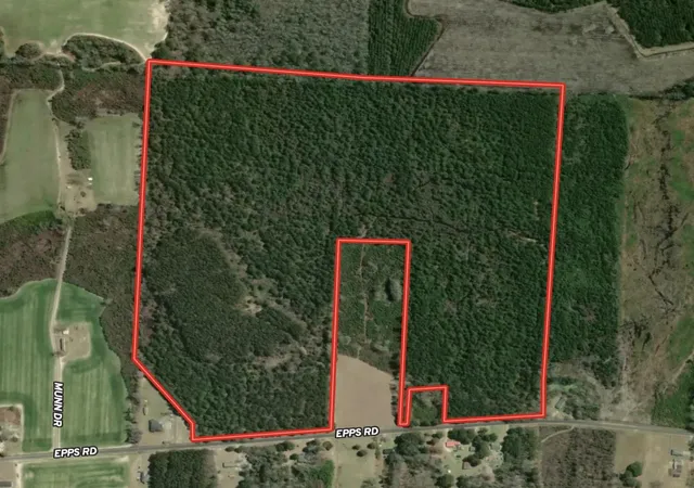 Photo 24 of Land for sale at 10149 Acres   Epps Rd, New Zion, SC 29111 | MLS# 2617077 | Listing updated on 2026-08-31