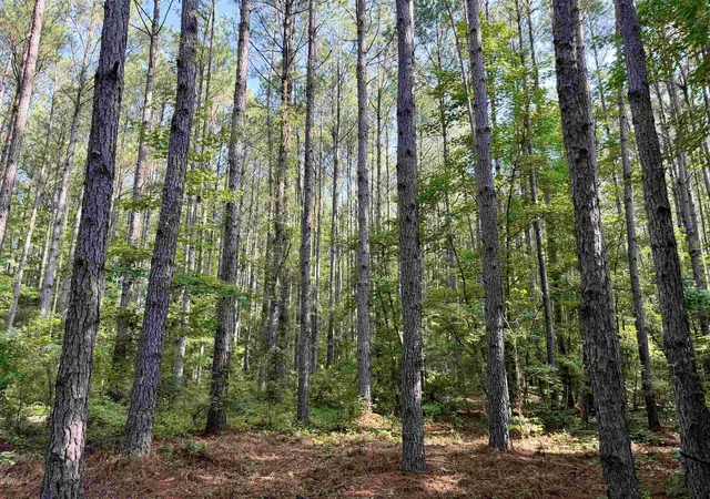 Photo 3 of Land for sale at 10149 Acres - Epps Rd, New Zion, SC 29111 | MLS# 2617077 | Listing updated on 2026-08-31