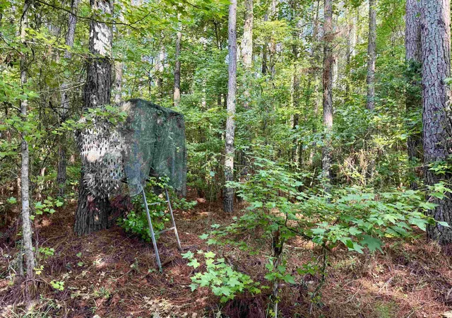 Photo 5 of Land for sale at 10149 Acres - Epps Rd, New Zion, SC 29111 | MLS# 2617077 | Listing updated on 2026-08-31