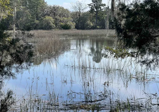 4th image of 27 Pleasant Pl Dr, Beaufort, SC 29907 | MLS# 2617080