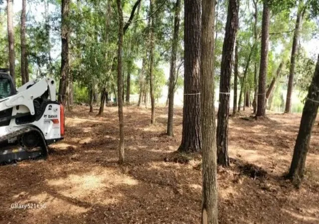 5th image of 27 Pleasant Pl Dr, Beaufort, SC 29907 | MLS# 2617080